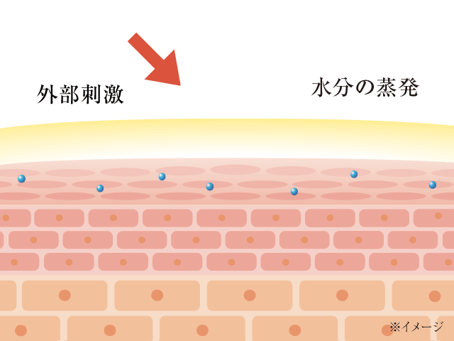 ララヴィの説明